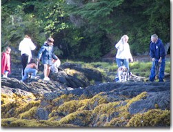 Beachcombing